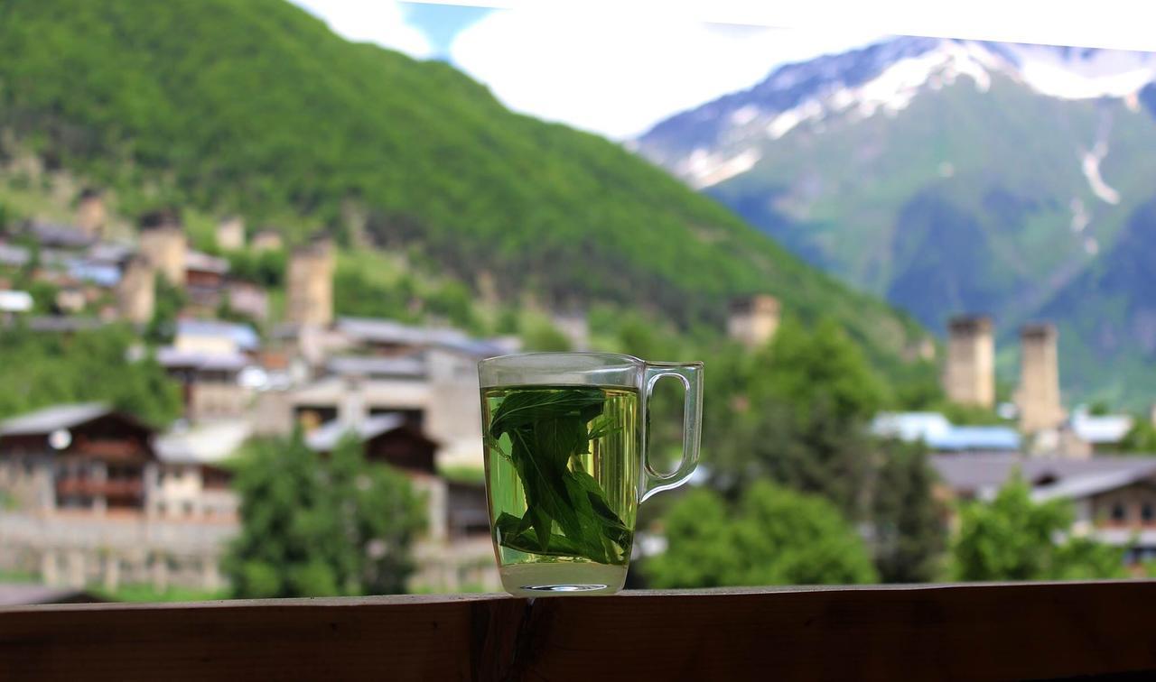 Travel Inn House Mestia • Მოგზაურის Სახლი Bagian luar foto